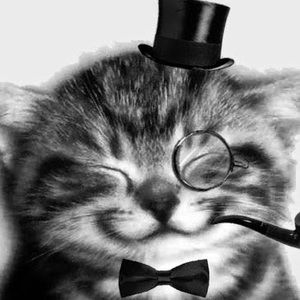 Meet your Posher, Olive